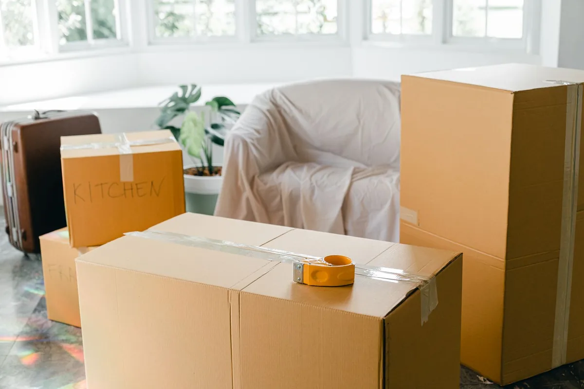 Hoarding Cleanup in Old West Tampa, Tampa, FL
